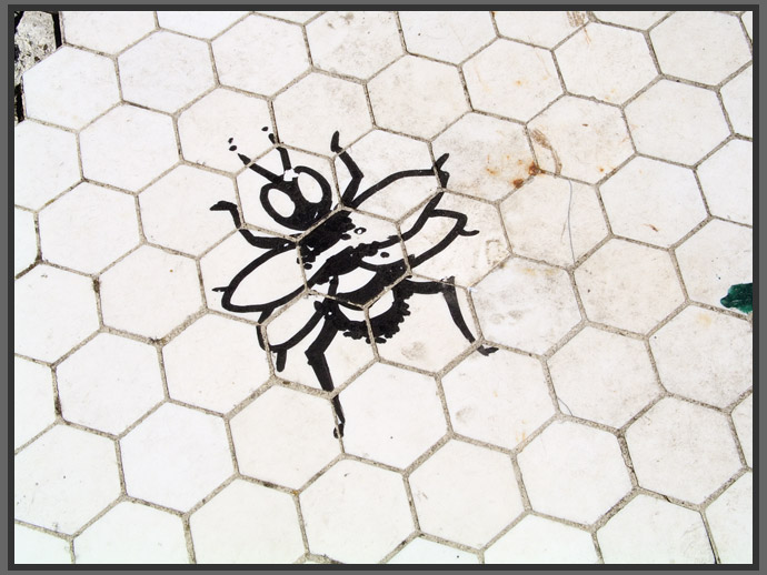 bee on honeycomb tile