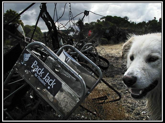 amphitheater at the Bulb