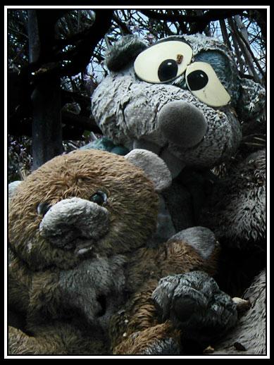 stuffed animals
