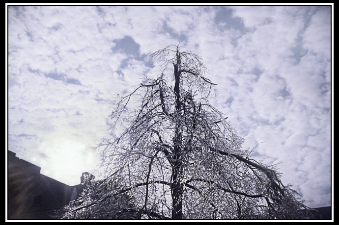 ice storm