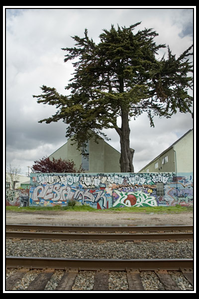 wall, buildings, trees
