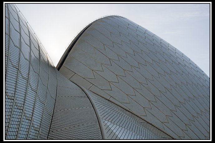 sydney opera house detail