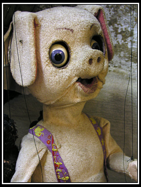 pig marionette