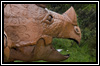 triceratops icon